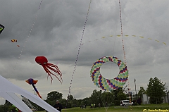 Venice kite festival_0334